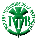 Logo ITB